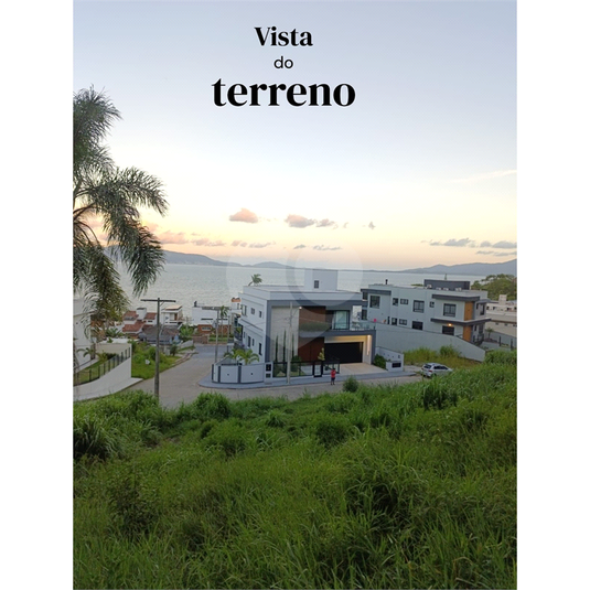 Foto REO1072754