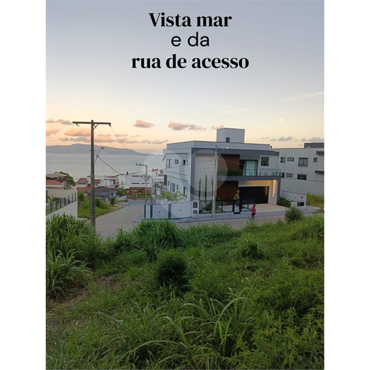 Foto REO1072754