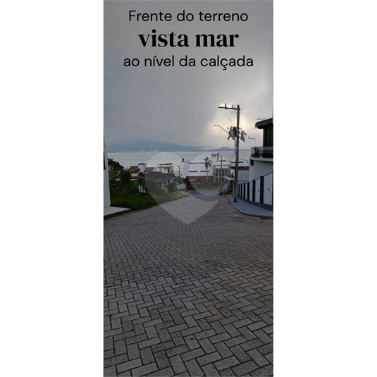 Foto REO1072754