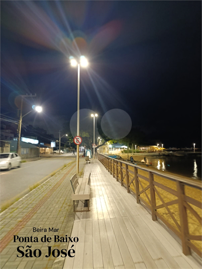 Foto REO1072754