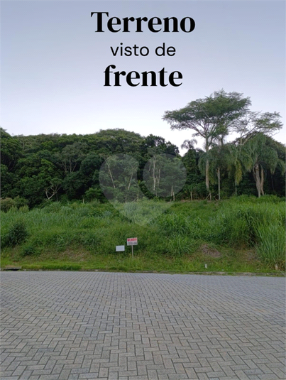 Foto REO1072754