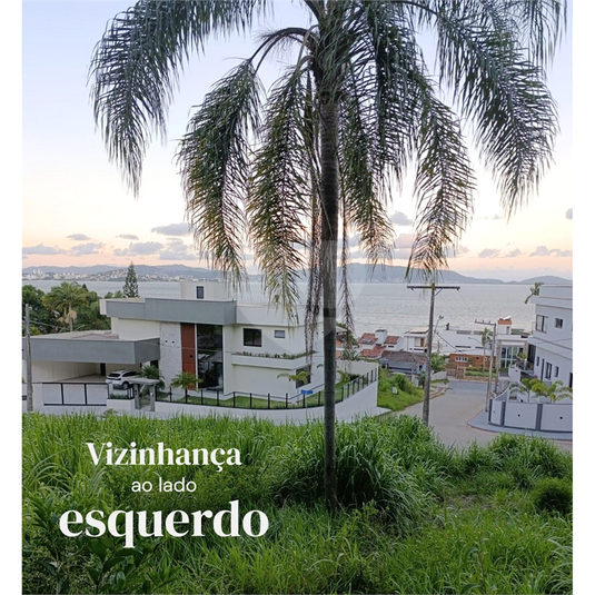 Foto REO1072754