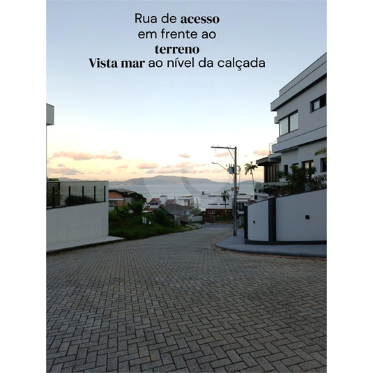 Foto REO1072754
