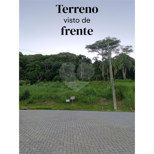 Foto REO1072754