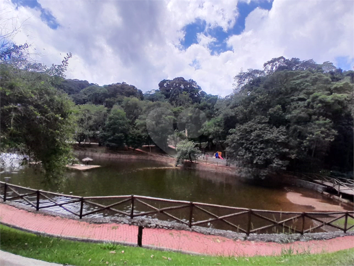 Foto REO1072780