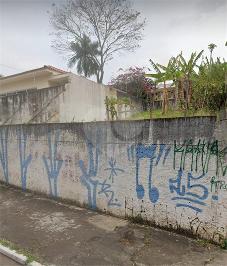 Foto REO1072799