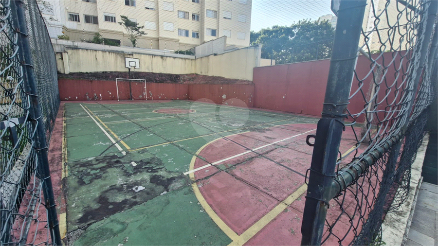 Foto REO1072826