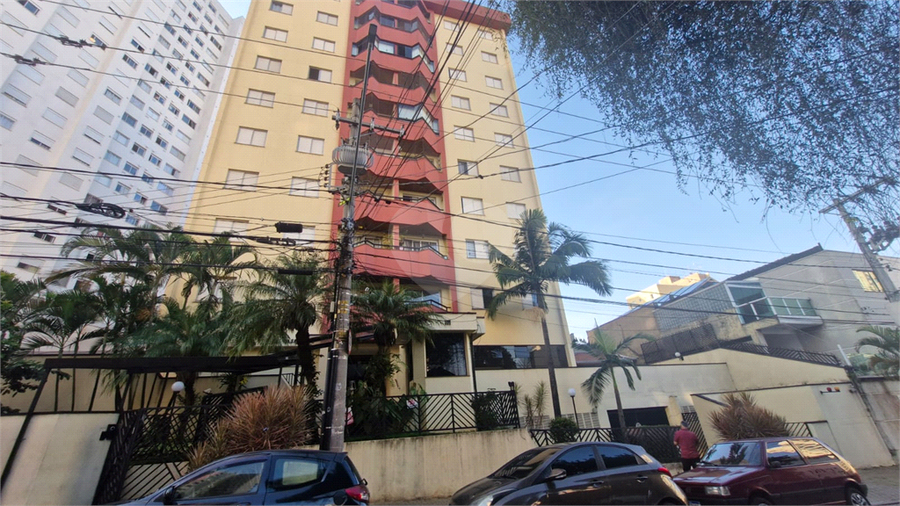 Foto REO1072826
