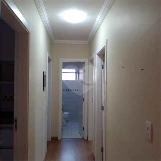 Foto REO1072841