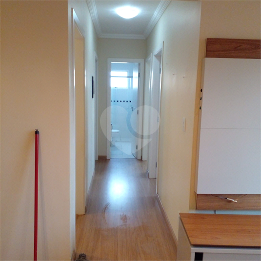 Foto REO1072841