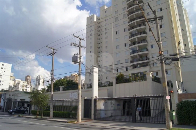 Foto REO1072844