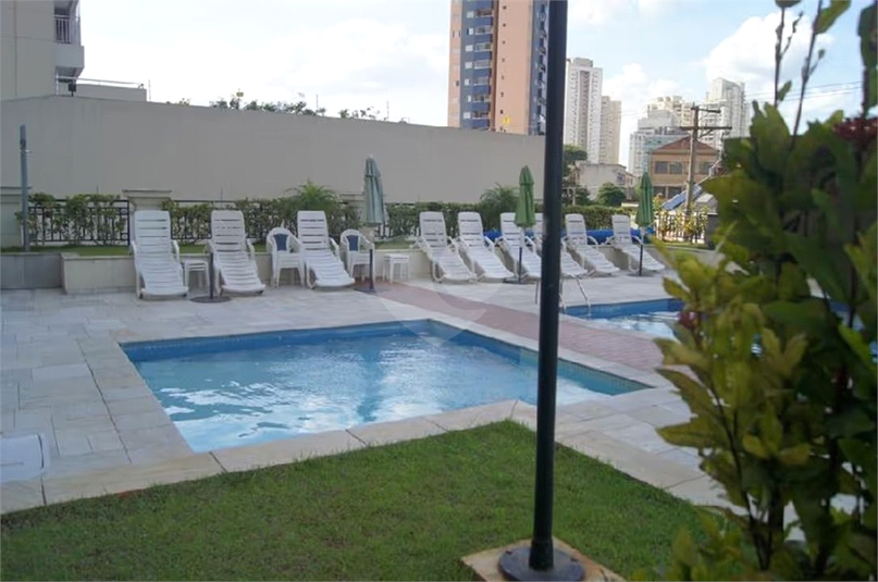 Foto REO1072844