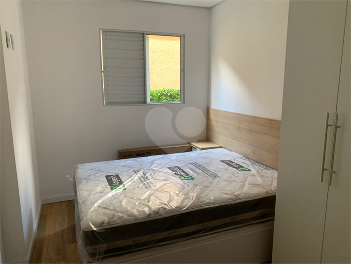Foto REO1072850