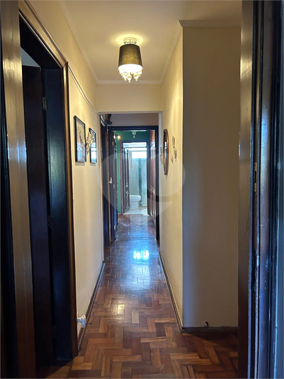 Foto REO1072865