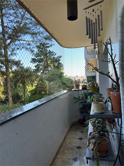 Foto REO1072865