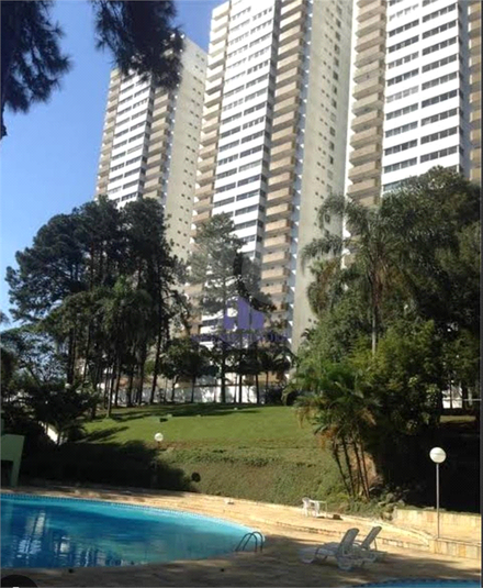 Foto REO1072865