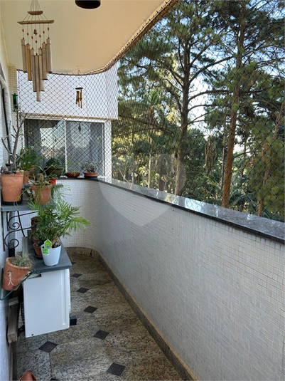 Foto REO1072865