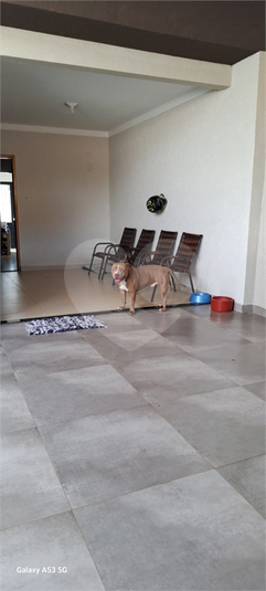 Foto REO1072876