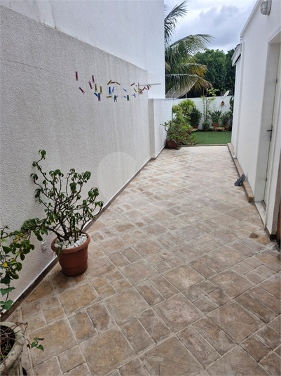 Foto REO1072905