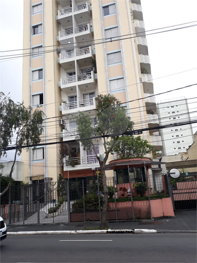 Foto REO1072910