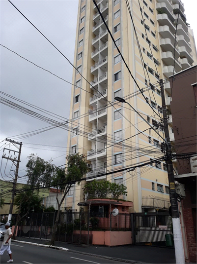 Foto REO1072910