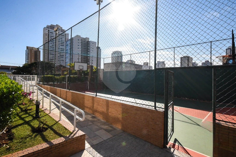 Foto REO1072946