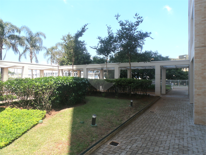 Foto REO1072953