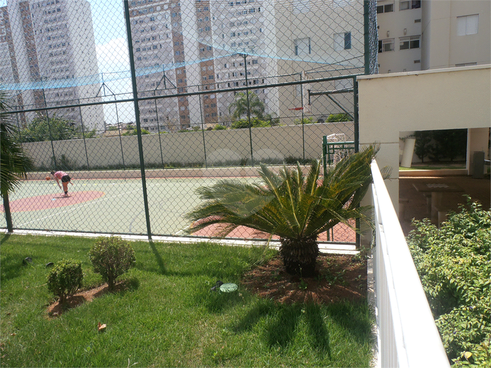 Foto REO1072953