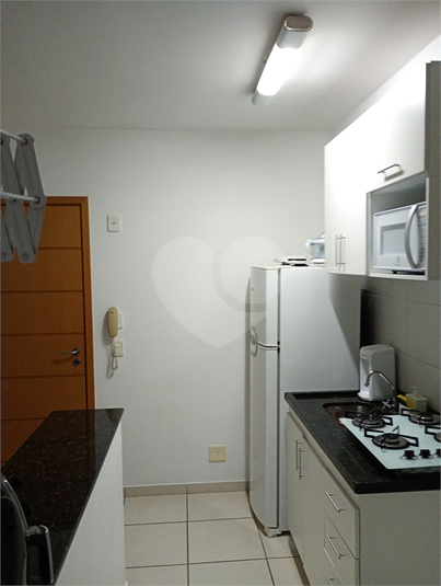 Foto REO1072958