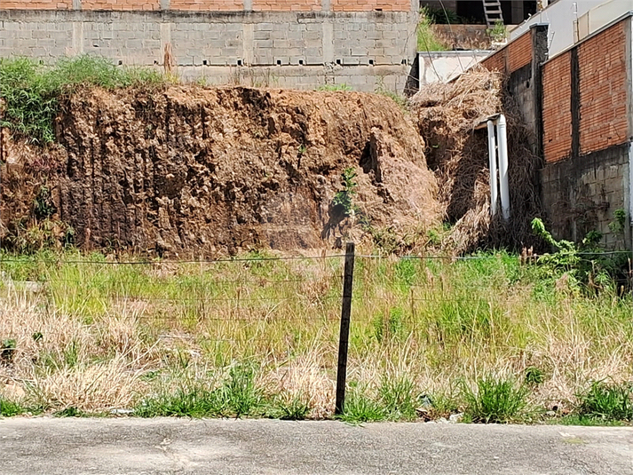 Foto REO1072986