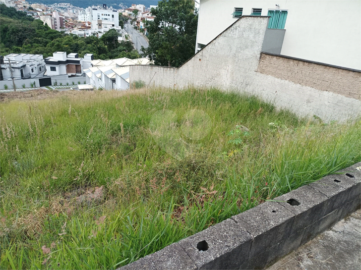 Foto REO1073031