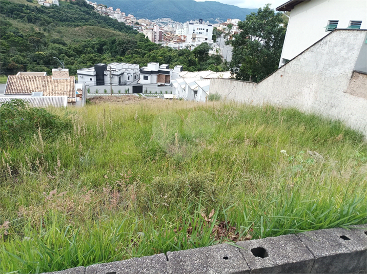 Foto REO1073031