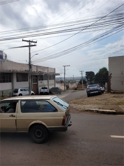 Foto REO1073036