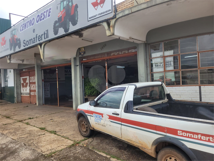 Foto REO1073036