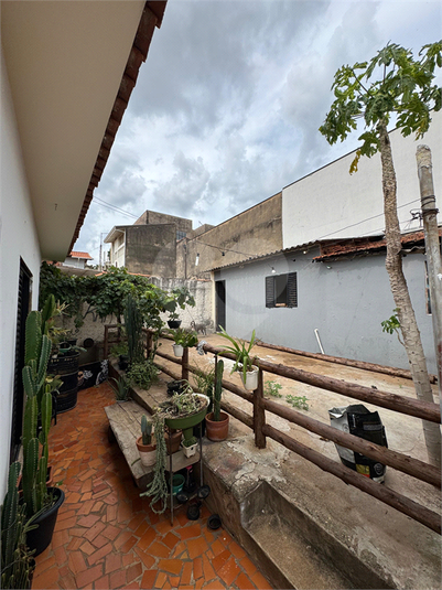 Foto REO1073052