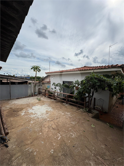 Foto REO1073052