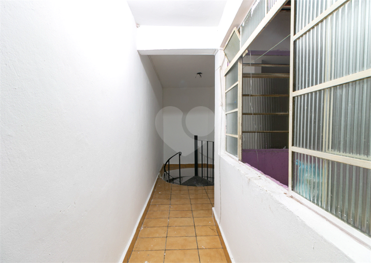 Foto REO1073065