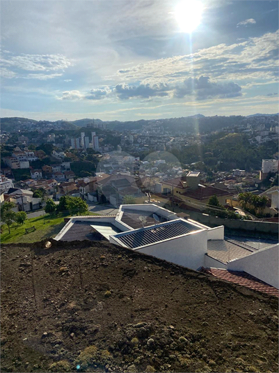 Foto REO1073066