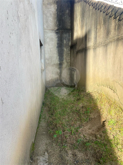 Foto REO1073066