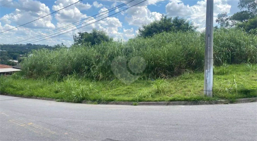 Foto REO1073077