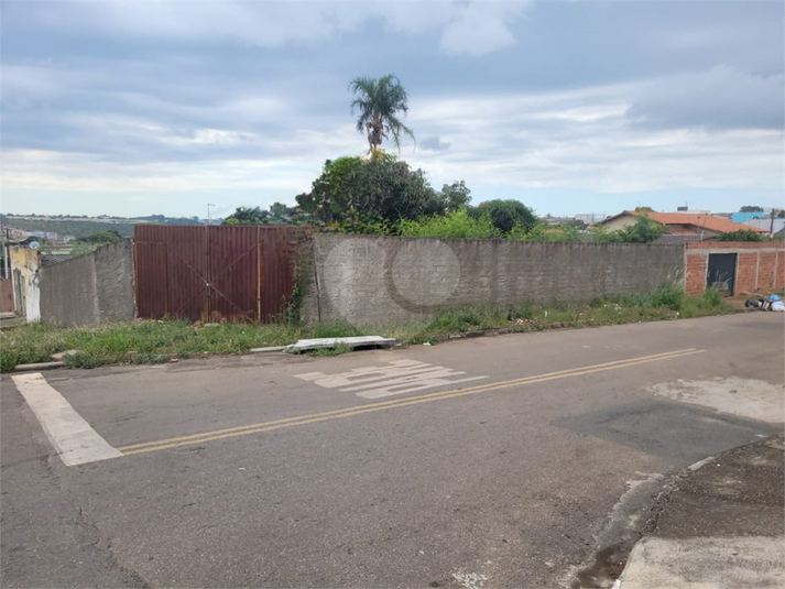 Foto REO1073086