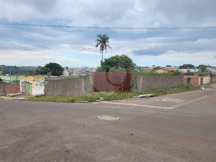 Foto REO1073086