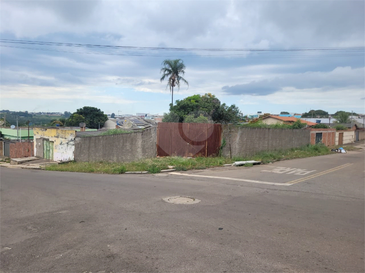 Foto REO1073086
