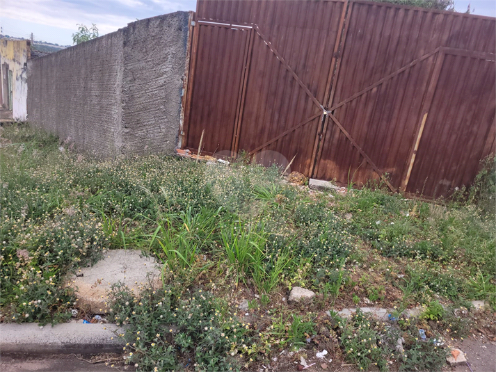 Foto REO1073086