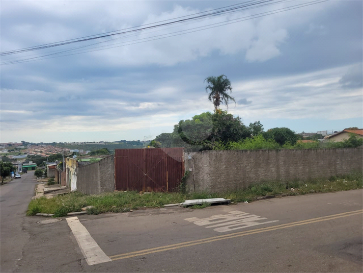 Foto REO1073086