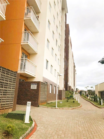 Foto REO1073088