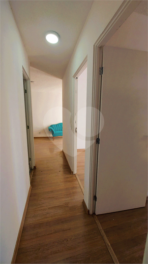 Foto REO1073088