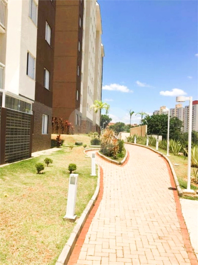 Foto REO1073088