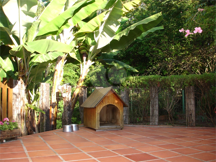 Foto REO1073097