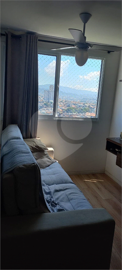 Foto REO1073158
